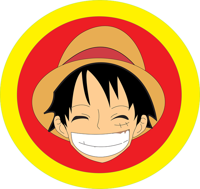 chapeau de paille que porte Luffy